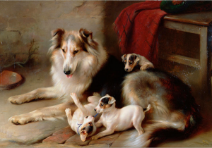 A Collie with Fox Terrier Puppies