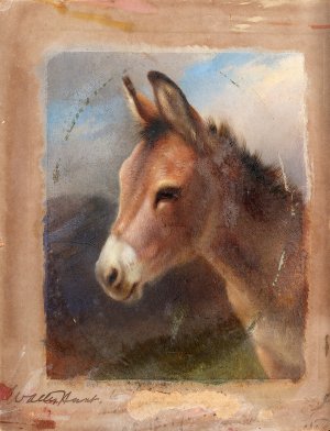 Head Study Of A Donkey by Walter Hunt Oil Painting