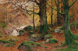 Herbstliche Waldlandschaft by Walter Moras Oil Painting