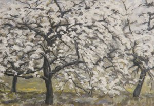 Bluhende Obstbaume by Walther Gamerith Oil Painting