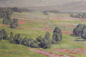 Felder Am Mattsee by Walther Gamerith Oil Painting