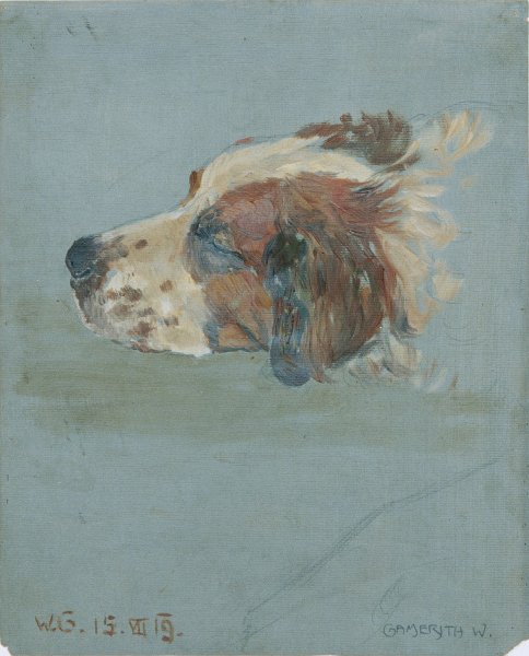 Hundekopf  by Walther Gamerith - Hand-Painted Oil Painting Reproduction