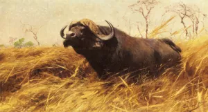 An African Buffalo painting by Wilhelm Kuhnert