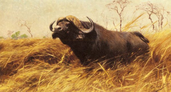 Main Product Photo of An African Buffalo Painting by Wilhelm Kuhnert