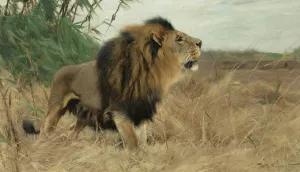 BeberlOwe by Wilhelm Kuhnert Oil Painting