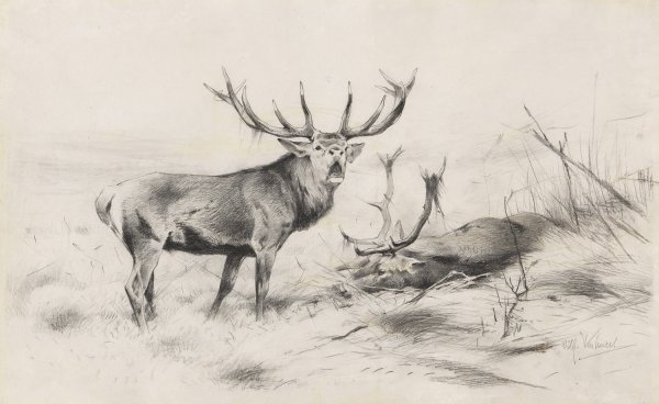 Main Product Photo of Besiegt  Painting by Wilhelm Kuhnert
