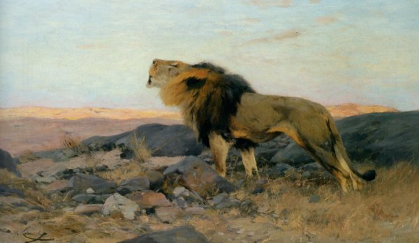 Main Product Photo of Brullender Lowe In Steiniger Steppe Painting by Wilhelm Kuhnert