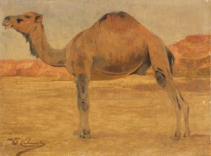 Dromedar by Wilhelm Kuhnert Oil Painting