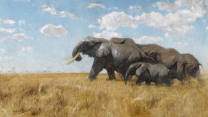 Elefanten auf der wanderung by Wilhelm Kuhnert Oil Painting