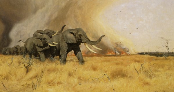 Main Product Photo of Elephants Moving Before a Veldt Fire Painting by Wilhelm Kuhnert