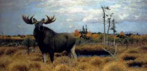 Elks In A Marsh Landscape by Wilhelm Kuhnert Oil Painting
