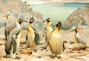 Giant Penguins by Wilhelm Kuhnert Oil Painting