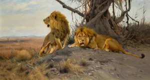 Grollende Lowen by Wilhelm Kuhnert Oil Painting