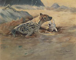 Hyane auf der Lauer by Wilhelm Kuhnert Oil Painting