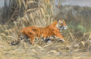 Im Dschungel by Wilhelm Kuhnert Oil Painting