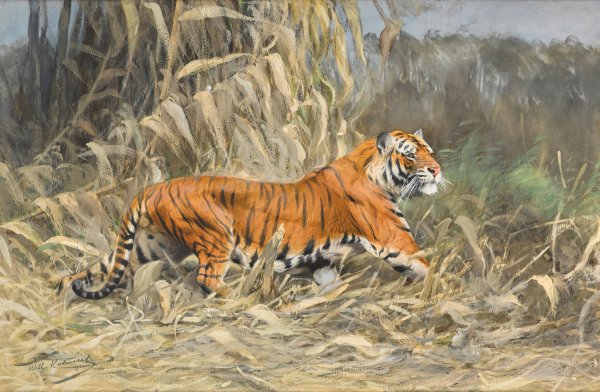 Main Product Photo of Im Dschungel  Painting by Wilhelm Kuhnert
