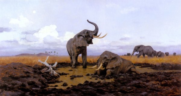 Main Product Photo of In The Twilight, Elephants Painting by Wilhelm Kuhnert