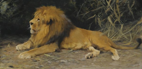 Main Product Photo of Lion In His Den Painting by Wilhelm Kuhnert