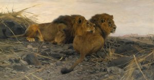 Lions At Watch by Wilhelm Kuhnert Oil Painting