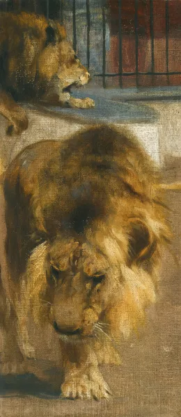Lions by Wilhelm Kuhnert Oil Painting