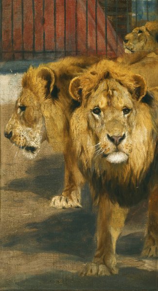 Main Product Photo of Lions Painting by Wilhelm Kuhnert