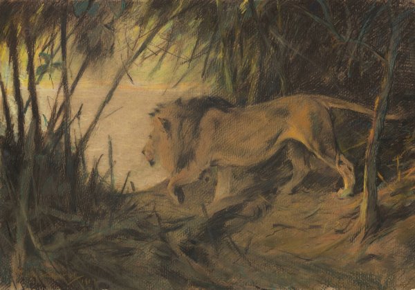 Main Product Photo of Lowe, zum Flusse ziehend  Painting by Wilhelm Kuhnert