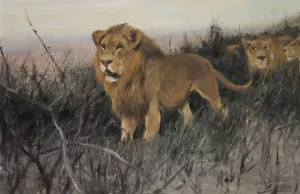 Lowen In Verbrannter Steppe by Wilhelm Kuhnert Oil Painting
