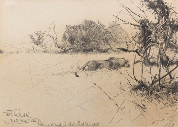 Main Product Photo of Lowin, sich druckend in Sicherheit bringend  Painting by Wilhelm Kuhnert