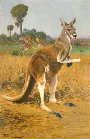 Red Kangaroos In The Outback by Wilhelm Kuhnert Oil Painting