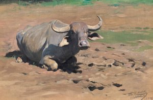 Resting Buffalo by Wilhelm Kuhnert Oil Painting