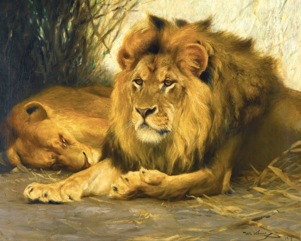 Main Product Photo of Resting Lions  Painting by Wilhelm Kuhnert