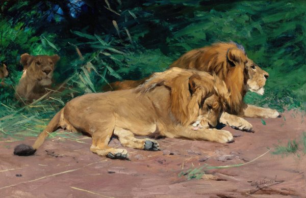 Main Product Photo of Ruhende Lowen  Painting by Wilhelm Kuhnert
