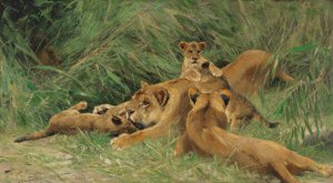 Spielende Lowen by Wilhelm Kuhnert Oil Painting