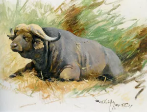 Studie Eines Kafferbuffels painting by Wilhelm Kuhnert