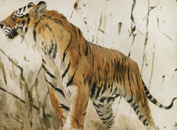 Main Product Photo of Study Of A Tiger  Painting by Wilhelm Kuhnert