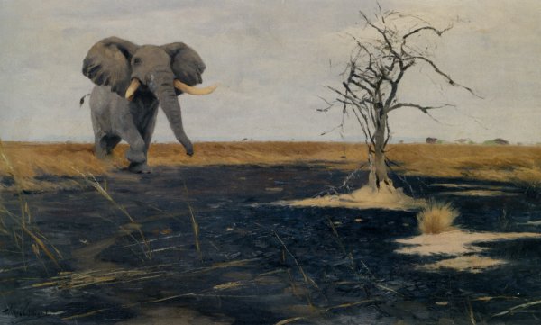 Main Product Photo of The Lone Elephant Painting by Wilhelm Kuhnert
