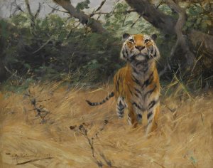 Tiger On The Watch by Wilhelm Kuhnert Oil Painting