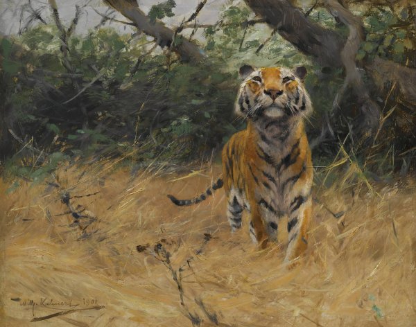 Main Product Photo of Tiger On The Watch  Painting by Wilhelm Kuhnert
