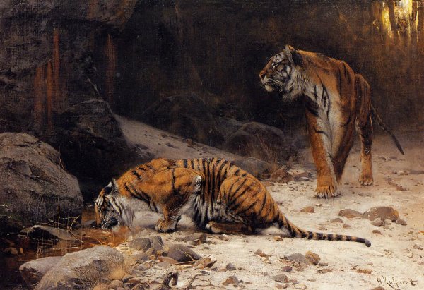 Main Product Photo of Tigers at a Drinking Pool Painting by Wilhelm Kuhnert