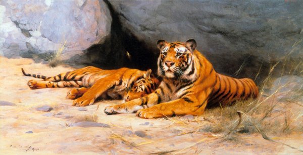 Main Product Photo of Tigers Resting Painting by Wilhelm Kuhnert