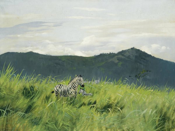 Main Product Photo of Zebra On The Steppe  Painting by Wilhelm Kuhnert