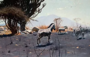 Zebras by Wilhelm Kuhnert Oil Painting