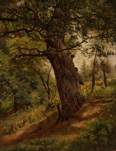 Study of a tree  by Wilhelm Peter Bayer - Hand-Painted Oil Painting Reproduction