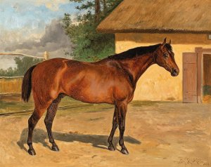 Bay Horse on the Paddock by Wilhelm Richter Oil Painting