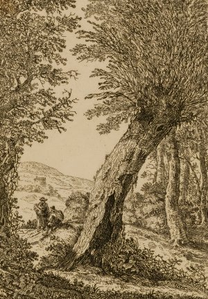 Landscape with Willow by Wilhelm Von Bemmel Oil Painting