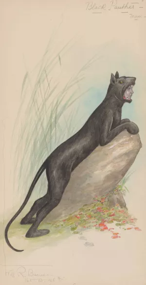 Black Panther-Man by Will R. Barnes Oil Painting