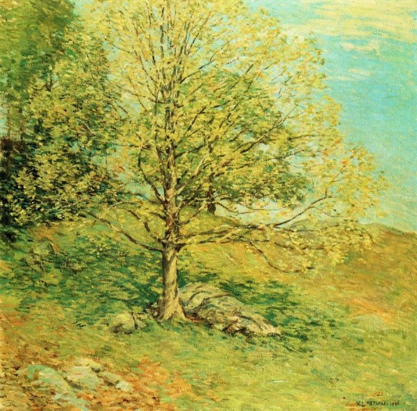 Main Product Photo of Budding Oak Painting by Willard Leroy Metcalf