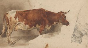 Staande koe, naar rechts, en schets van een rund by Willem Carel Nakken Oil Painting