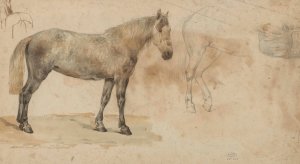 Studies van een paard by Willem Carel Nakken Oil Painting