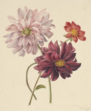 Dahlia's by Willem Hekking Oil Painting